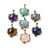 Natural Mixed Stone Pendants G-G069-01G-1