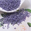 MIYUKI Delica Beads SEED-MY11-DB0250-1