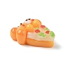 Resin Imitation Food Pendants LS-FIND-U001-02E-2