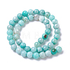 Natural Dyed Agate Imitation Turquoise Beads Strands G-P425-02A-6mm-1