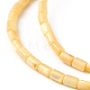 Natural Freshwater Shell Dyed Beads Strands SHEL-M018-12-4