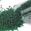 TOHO Round Seed Beads SEED-JPTR15-0108B-1