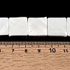 Natural Freshwater Shell Beads Strands SHEL-A006-10A-4