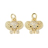 Brass Micro Pave Cubic Zirconia Charms KK-L253-10G-1