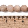 Natural Sunstone Beads Strands G-J372-05-8mm-A-5