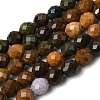 Natural Ocean Jasper Beads Strands G-K376-F17-01-2
