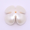 ABS Imitation Pearl Cabochons Accessories FIND-TAC0001-16-2
