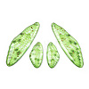 Transparent Resin Wing Earrings Pendants LS-FIND-TAC0006-58E-1