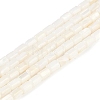 Natural Freshwater Shell Beads Strands BSHE-H109-17A-1