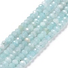 Natural Amazonite Beads Strands G-E194-02B-1