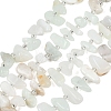 Natural Green Opal Beads Strands G-L657-E03-01-2