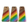 Pride Rainbow Theme Resin & Walnut Wood Pendants WOOD-K012-10B-1