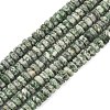 Natural Green Spot Jasper Beads Strands G-L654-I13-01-2