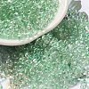 Glass Seed Beads SEED-K009-04A-07-1