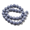 Synthetic Blue Lace Agate Beads Strands G-B071-F02-04-2