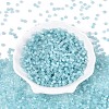 Drawbench Style Glass Seed Beads SEED-N008-11I-2