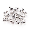 Tibetan Style Alloy Slide Charms X-TIBEB-337-AS-FF-1