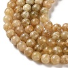 Natural Yellow Garnet Beads Strands G-Z129-C01-8mm-01-4