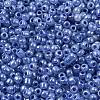 Glass Seed Beads SEED-A011-3mm-146-2