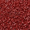 MIYUKI Delica Beads SEED-X0054-DB2159-3
