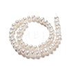 Natural Cultured Freshwater Pearl Beads Strands PEAR-I004-03-2