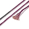 10 Skeins 6-Ply Polyester Embroidery Floss OCOR-K006-A04-3