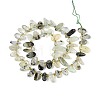 Natural Prehnite Beads Strands G-Z091-A44-2