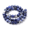 Natural South Africa Sodalite Beads Strands G-S259-35-10mm-3