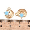 Alloy with Enamel Charms AL-CBA9C31-01G-A-3