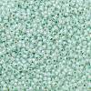 TOHO Round Seed Beads SEED-TR11-PF2118-2