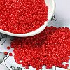 Baking Paint Glass Seed Beads SEED-P006-03A-10-1