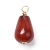 Natural Carnelian/Red Agate Bead Pendants PALLOY-JF00865-3