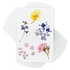 Dried Embossed Paper DIY-WH0622-646D-1