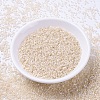 MIYUKI Delica Beads SEED-MY11-DB1874-2