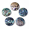 Natural Abalone Shell/Paua Shell Pendants SSHEL-N034-86-1