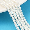 Round Shell Pearl Beads Strands BSHE-XCP0001-40A-1