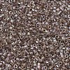 MIYUKI Delica Beads SEED-J020-DB2395-3