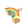 Pride 304 Stainless Steel Enamel Pendants LS-STAS-B079-01G-12-2