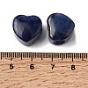 Natural Sodalite European Beads G-C269-01M-3