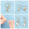50Pcs 304 Stainless Steel Leverback Earring Findings with Pendant Bails STAS-BBC0001-52G-4