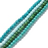 Natural Howlite Beads Strands G-E604-B01-1