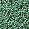 TOHO Round Seed Beads SEED-JPTR08-PF0561-2