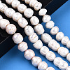 Natural Cultured Freshwater Pearl Beads Strands PEAR-N012-10E-2