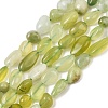 Natural Xiuyan Jade Beads Strands G-A284-A04-02-2