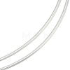 BENECREAT 1Pc 999 Fine Silver Sterling Silver Wire STER-BC0002-07A-1