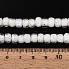 Luminous Handmade Silver Foil Glass Beads Strands FOIL-N029-02B-01-5