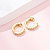 925 Sterling Silver Micro Pave Clear Cubic Zirconia Hoop Earrings EJEW-K317-08G-1