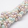 Shell Pearl Bead Strands X-BSHE-L017-10-1