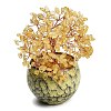 Heated Natural Citrine Chips Tree of Life Display Decorations GG-CBACC2B-02A-1