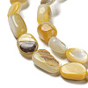 Natural Yellow Shell Beads Strands SSHEL-H072-08-3